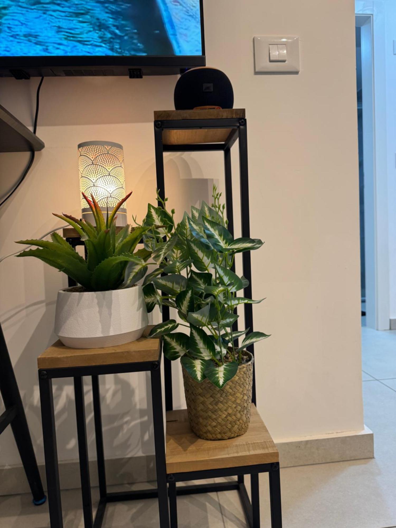 פסגת הדקל Apartamento Eilat Exterior foto